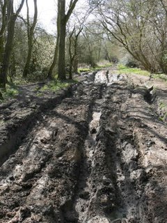 Before July 2009 maintenance